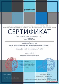 Сертификат проекта infourok.ru №1379553.jpg